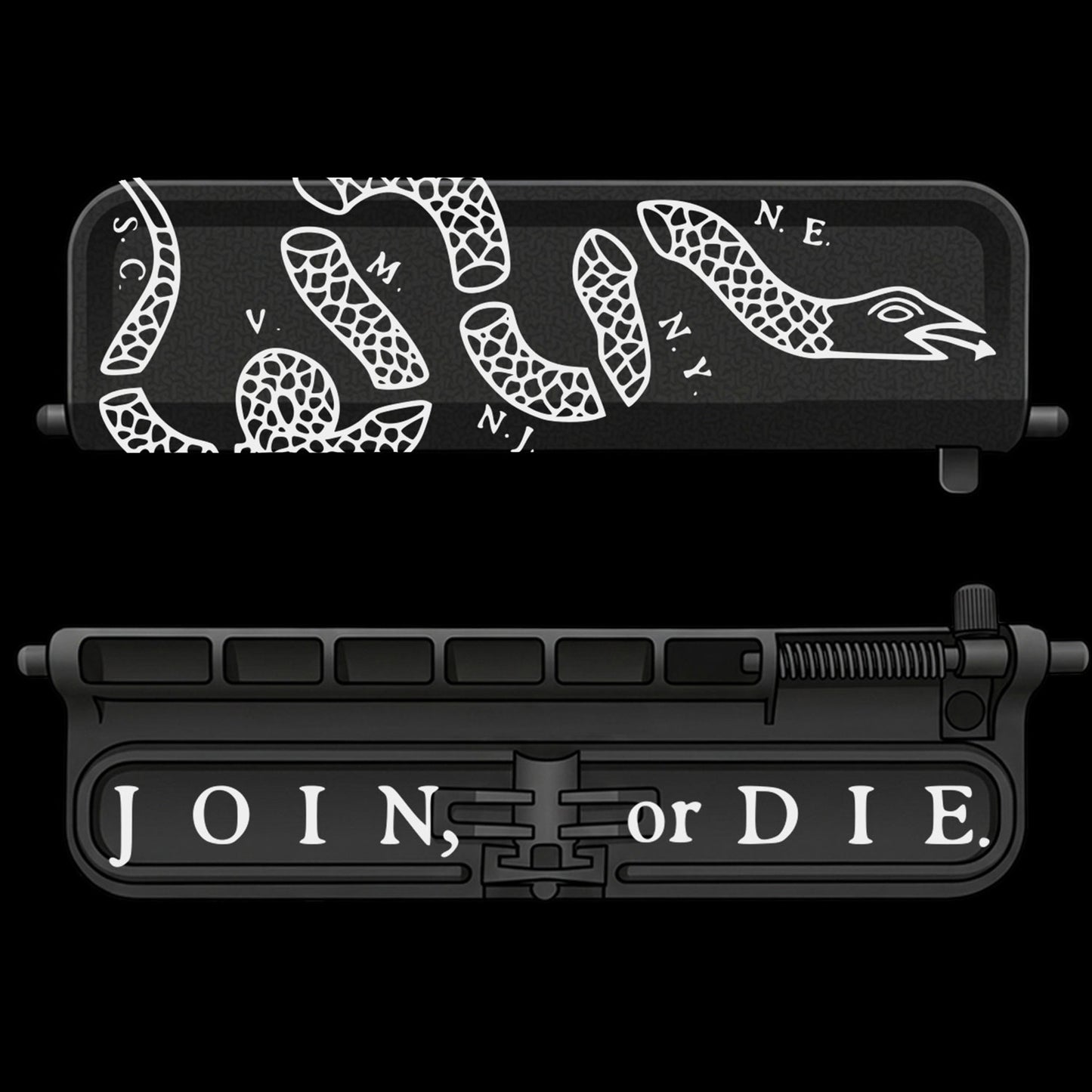 Join or Die - AR-15 Dust Cover
